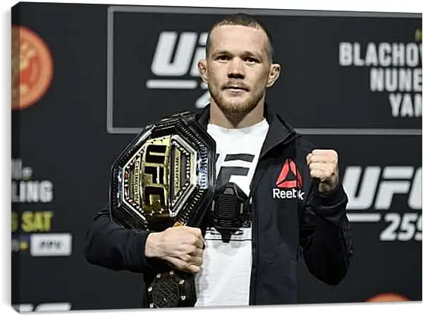 Постер на подрамнике - UFC. MMA. Пётр Ян