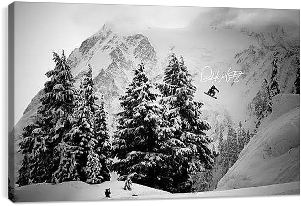 Постер на подрамнике - Прыжок для фото