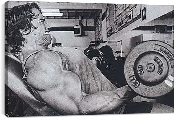 Постер на подрамнике - Шварценеггер Арнольд (Arnold Schwarzenegger)