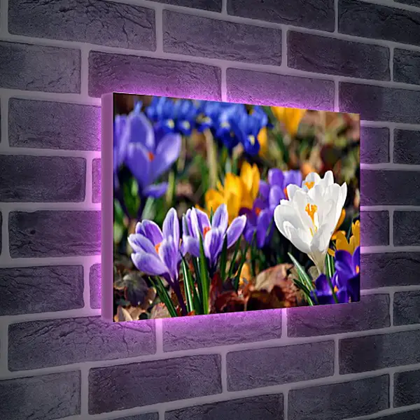 Лайтбокс световая панель - Весна