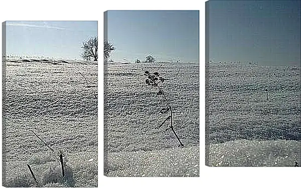 Модульная картина - Зима