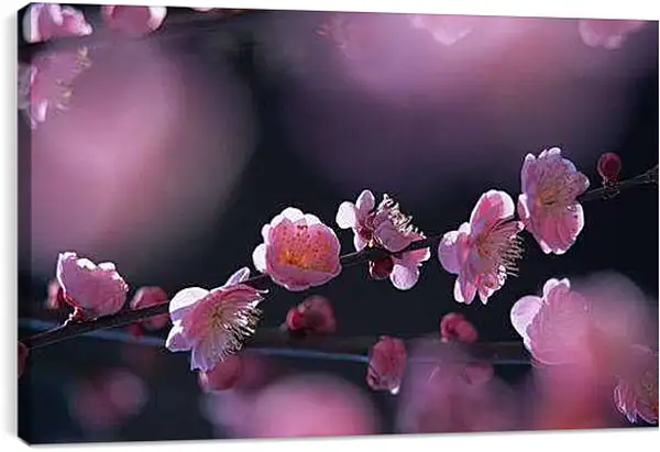 Постер на подрамнике - Весна