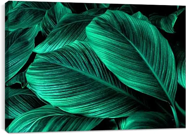 Постер на подрамнике - Лист пальмы