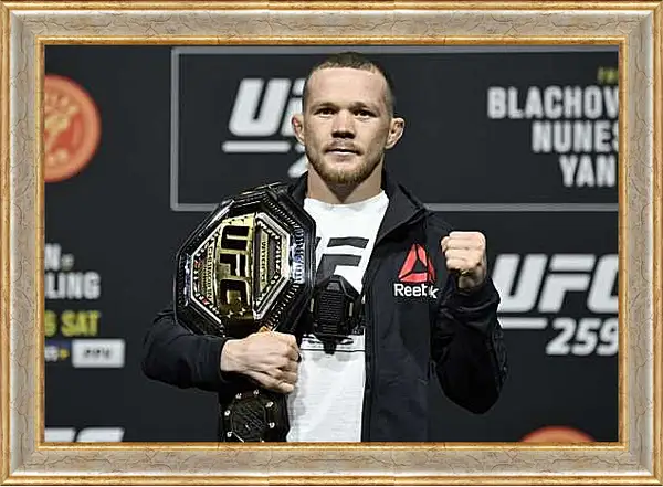 Картина в раме - UFC. MMA. Пётр Ян