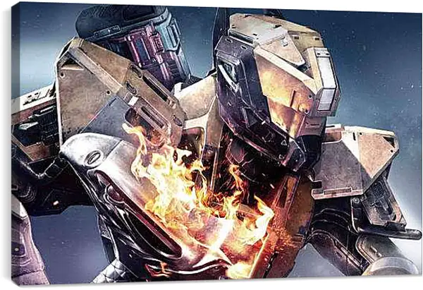 Постер на подрамнике - Destiny