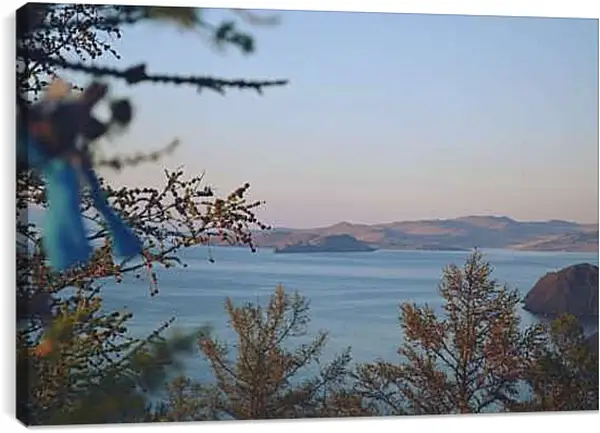 Постер на подрамнике - Вид на озеро через ветки. Байкал