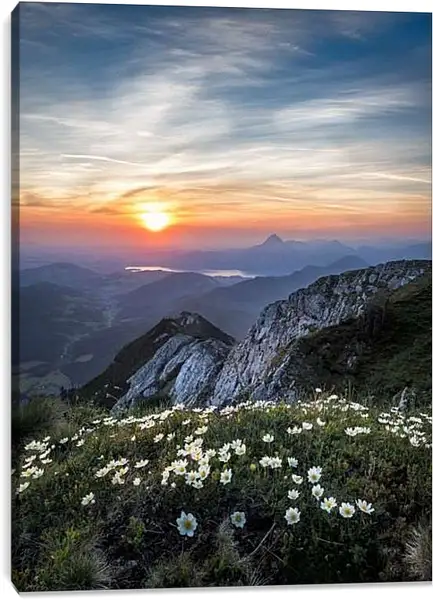 Постер на подрамнике - Закат и цветы