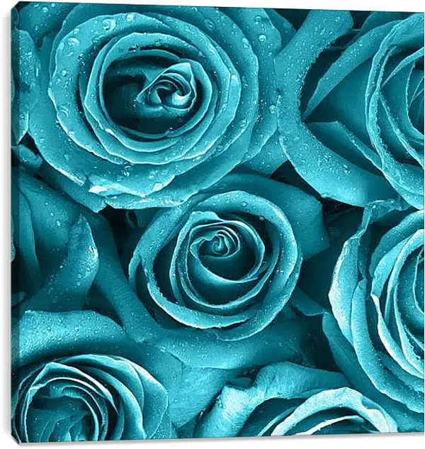 Постер на подрамнике - Голубые розы