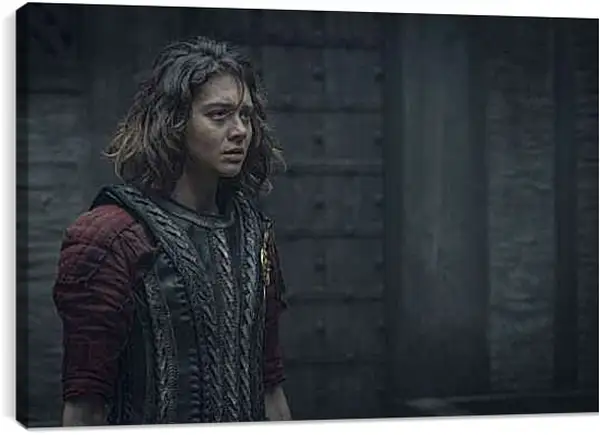 Постер на подрамнике - Ведьмак. The Witcher