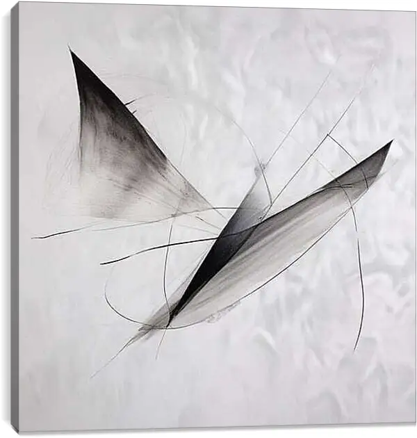 Постер на подрамнике - Птица