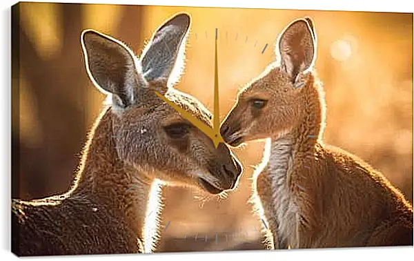 Часы картина - Кенгуру с детёнышем