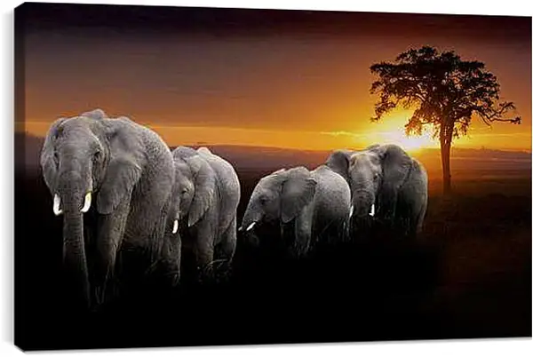 Постер на подрамнике - Слоны