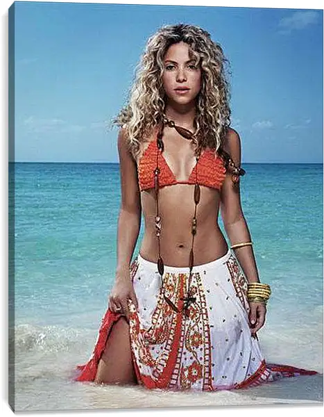 Постер на подрамнике - Shakira - Шакира
