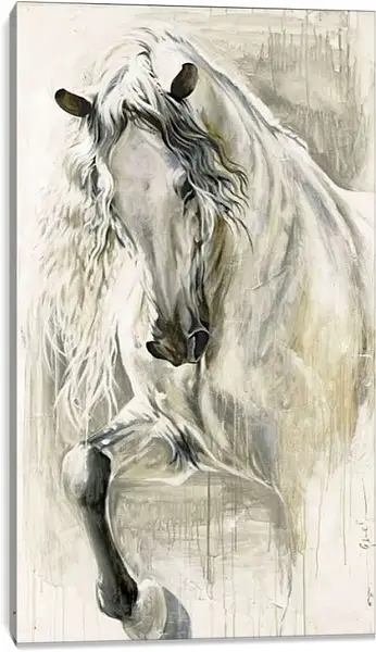 Постер на подрамнике - Сила и грация