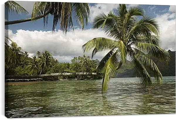 Постер на подрамнике - Лето