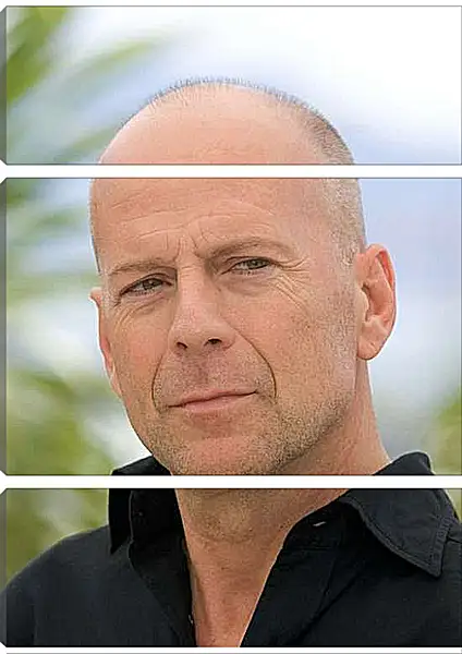 Модульная картина - Брюс Уиллис. Bruce Willis