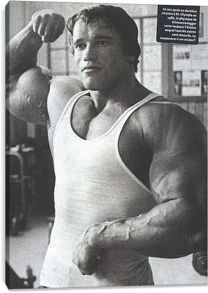 Постер на подрамнике - Арнольд Шварценеггер (Arnold Schwarzenegger)