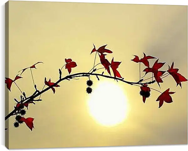 Постер на подрамнике - Осень