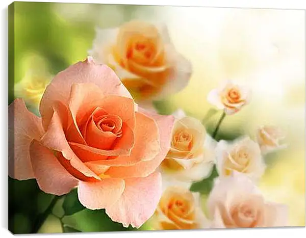 Постер на подрамнике - Розы