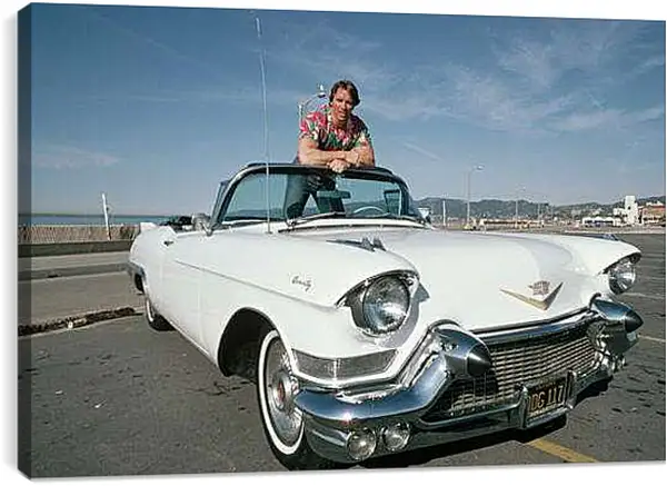 Постер на подрамнике - Арнольд Шварценеггер (Arnold Schwarzenegger)