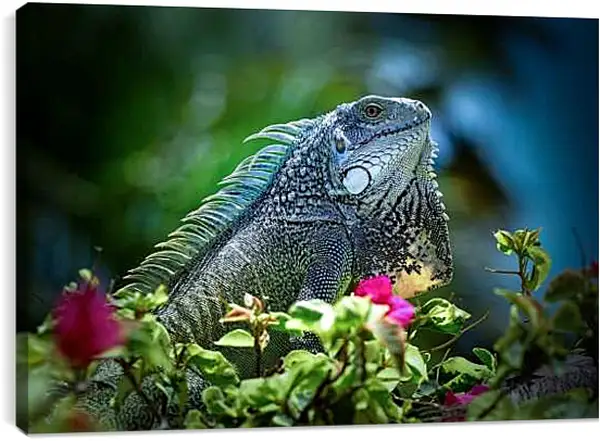 Постер на подрамнике - Рептилии