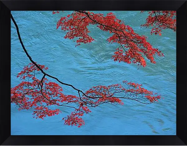 Картина в раме - Осень