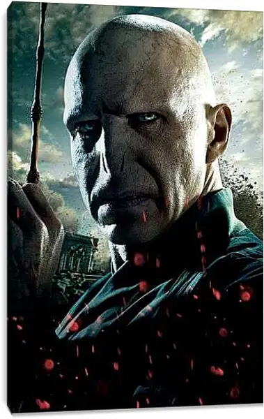 Постер на подрамнике - Лорд Волан-де-Морт