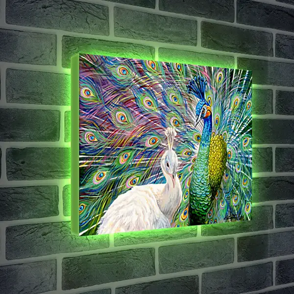 Лайтбокс световая панель - Я за тобой как за стеной. Авторская живопись. Пара влюбленных. Павлины. Белый павлин.