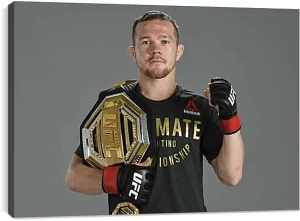Постер на подрамнике - UFC. MMA. Пётр Ян