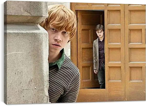 Постер на подрамнике - Рон Уизли