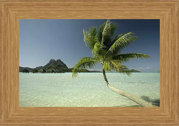 Картина в раме - Лето