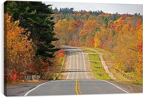 Постер на подрамнике - Осень