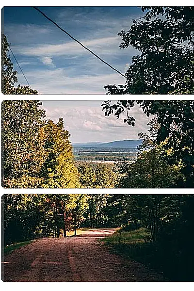 Модульная картина - Летний денёк