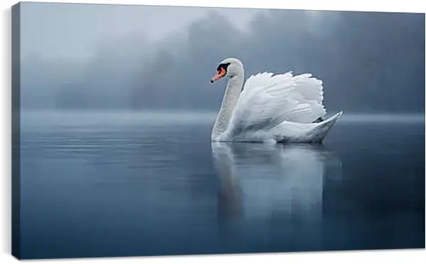 Постер на подрамнике - Белый лебедь