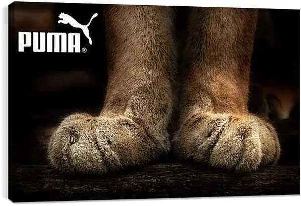 Постер на подрамнике - Пума