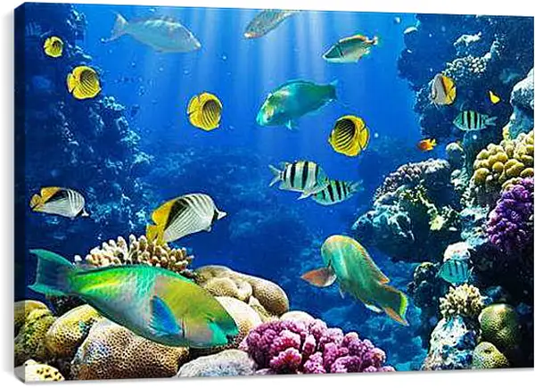 Постер на подрамнике - tropical fsh - тропичные рыбки