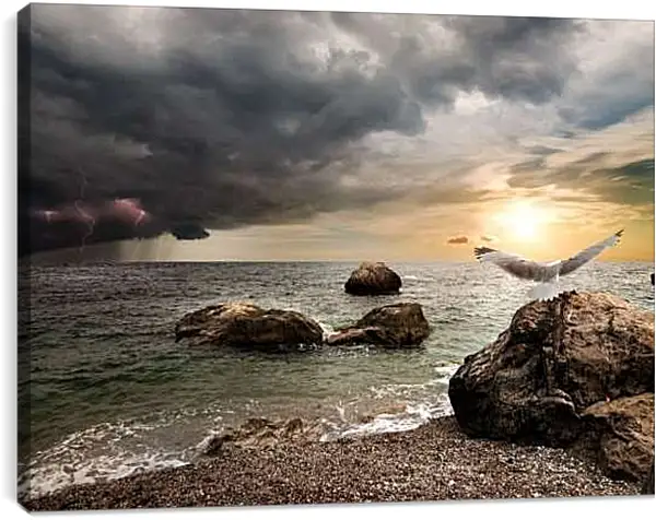 Постер на подрамнике - Чайка