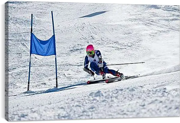 Постер на подрамнике - Объезд флажков на скорости