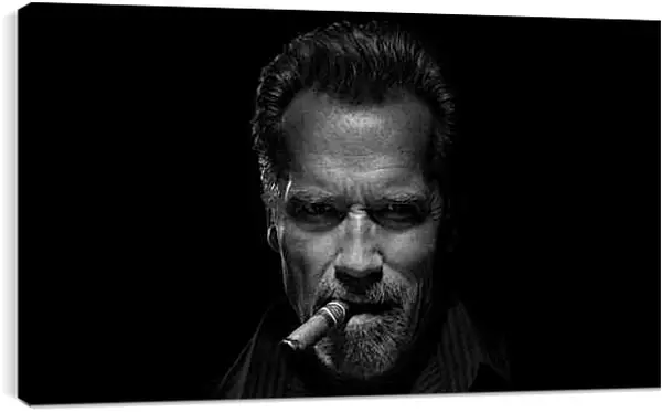 Постер на подрамнике - Арнольд Шварценеггер (Arnold Schwarzenegger)