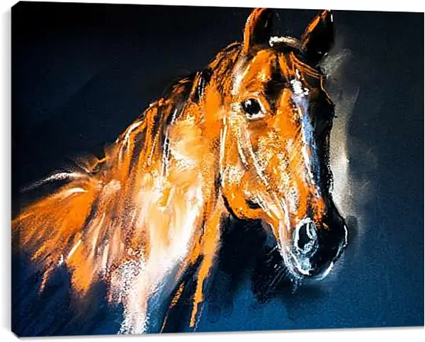 Постер на подрамнике - Лошадь