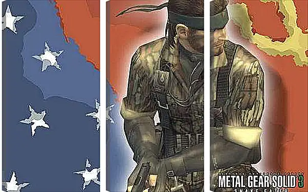 Модульная картина - Metal Gear