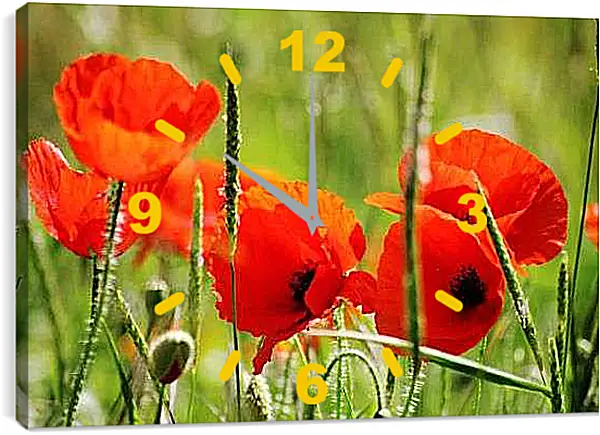 Часы картина - Маки в поле