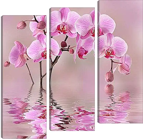Модульная картина - Орхидеи над водой