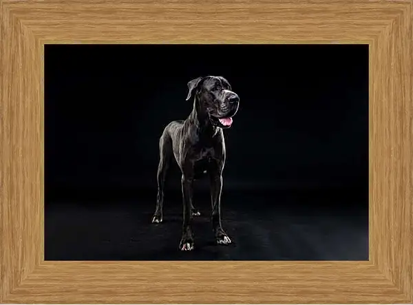 Картина в раме - Дог