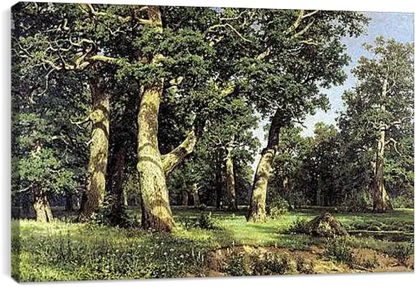 Постер на подрамнике - Дубы. Иван Шишкин