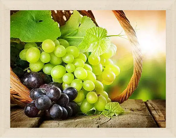 Картина в раме - Виноград в корзине и луч солнца. Виноградное Изобилие.