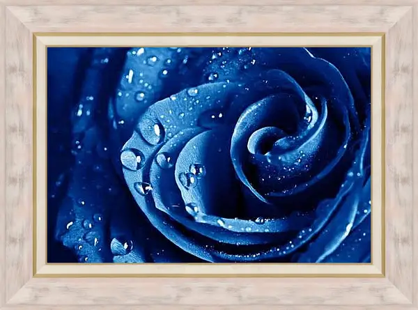 Картина в раме - Синяя роза