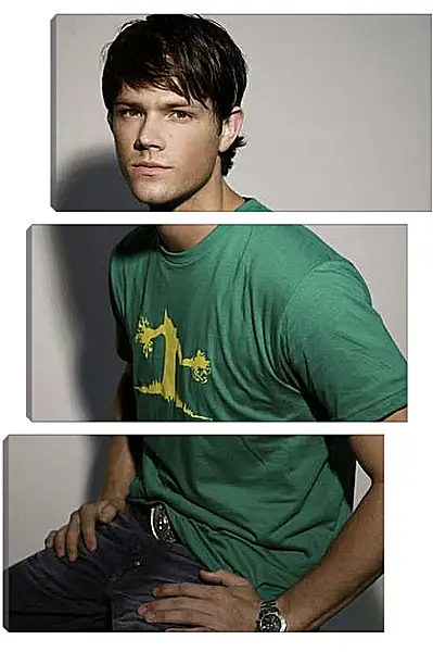 Модульная картина - Джаред Падалеки. Jared Padalecki