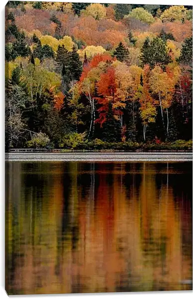 Постер на подрамнике - Осенние цвета