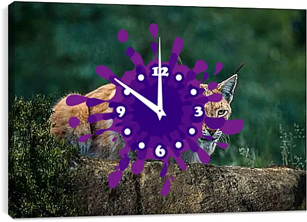 Часы картина - Рысь